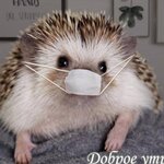 Андрей Доминюк
