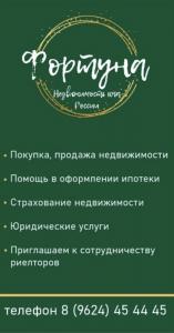 Фотография Мир 5