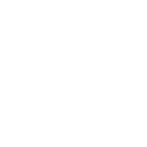 Фотография Феникс 2